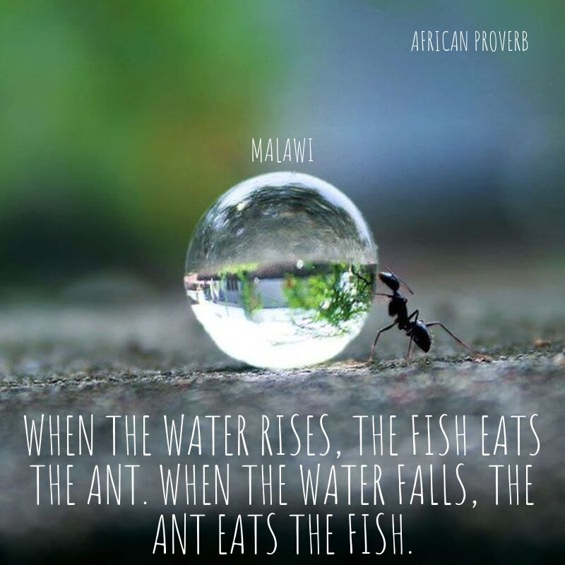 Wit & Wisdom - When the water rises, the fish eats the ant. When the water falls, the ant eats the fish. Malawi 
