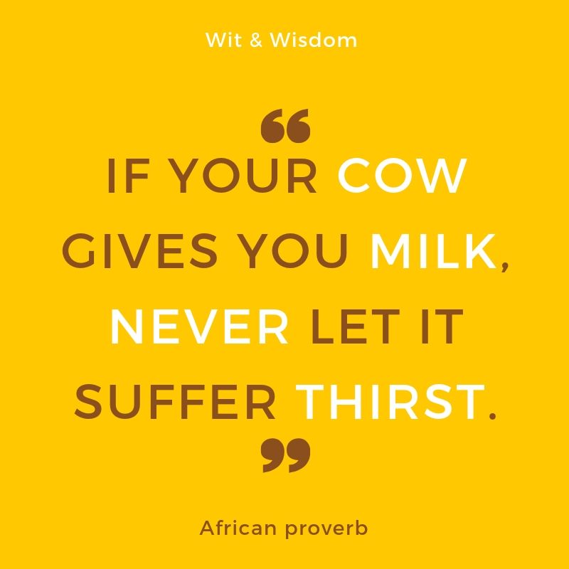 Wit & Wisdom - If your cow gives you milk, never let it suffer thirst. (African Proverb)