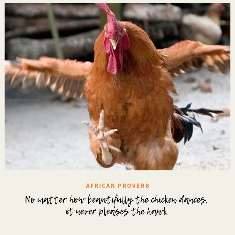 Wit & Wisdom - No matter how beautifully the chicken dances, it never pleases the hawk. (African Proverb)