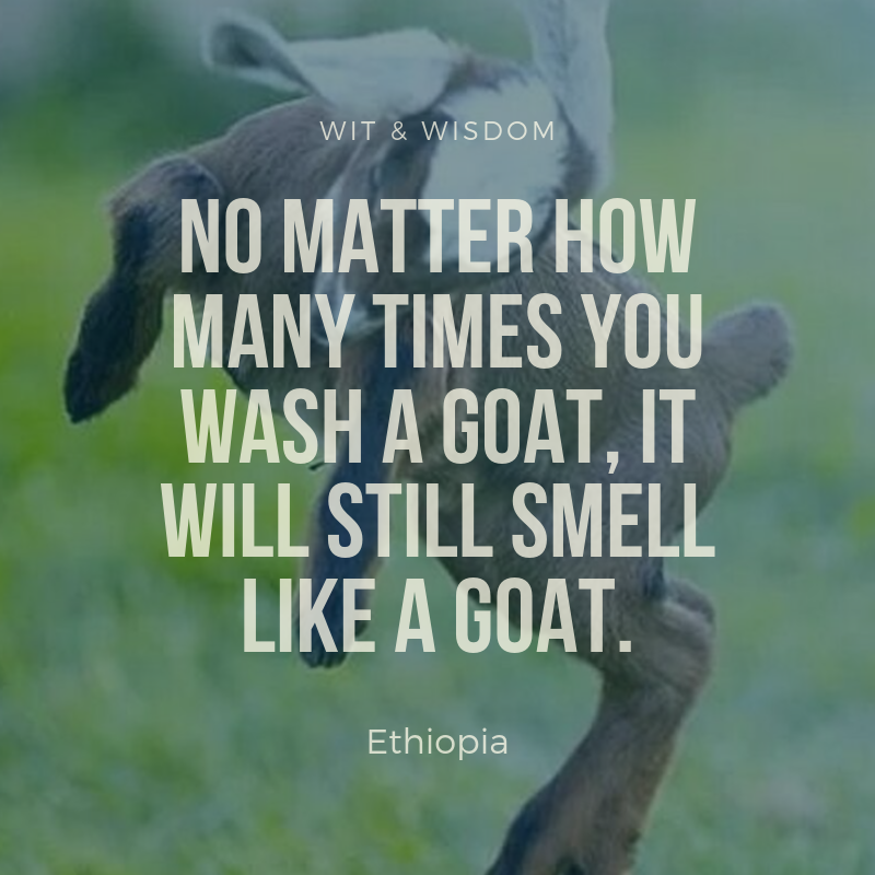 Wit & Wisdom - No matter how many times you wash a goat, it will still smell like a goat. (Ethiopia)