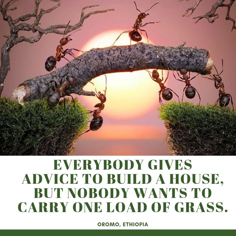 Everybody gives advice to build a house, but nobody wants to carry one load of grass.  
Oromo, Ethiopia
